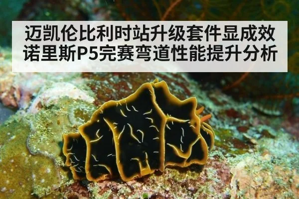 迈凯伦比利时站升级套件显成效 诺里斯P5完赛弯道性能提升分析